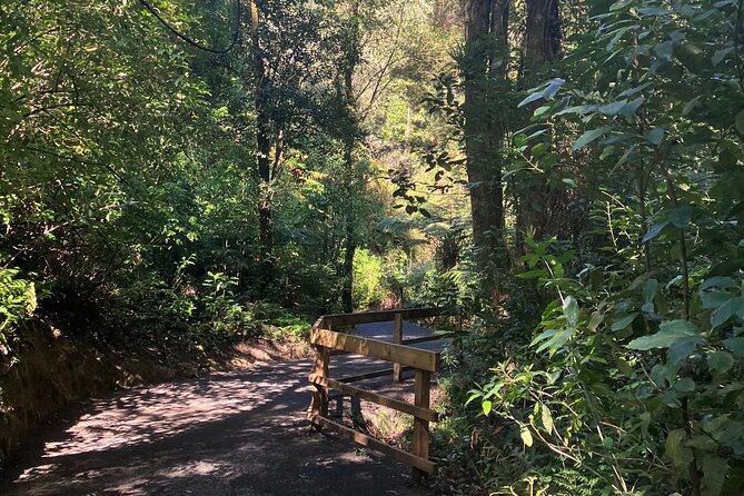 Scenic Short Hike Tour - Papamoa Hills and McLaren Falls - McLaren Falls Park changes the mood