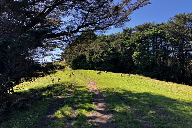 Scenic Short Hike Tour - Papamoa Hills and McLaren Falls - What the small group adds