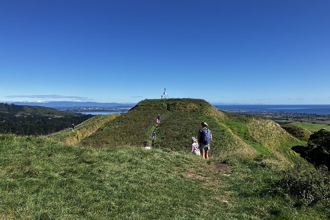 Scenic Short Hike Tour - Papamoa Hills and McLaren Falls - Is $80.05 a fair price?