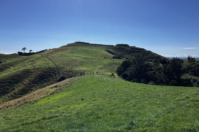 Scenic Short Hike Tour - Papamoa Hills and McLaren Falls - Who should book this experience?