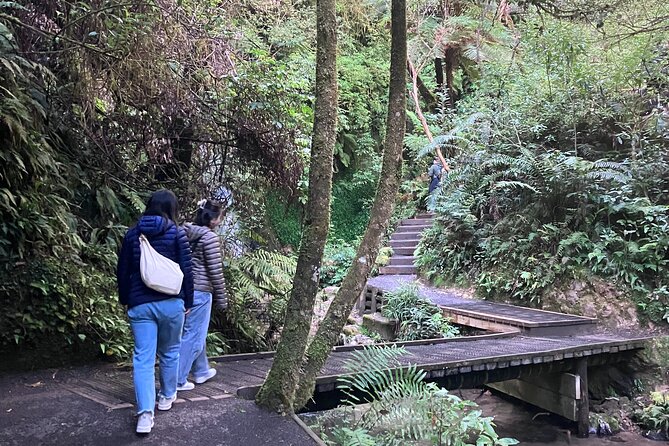 Scenic Short Hike Tour - Papamoa Hills and McLaren Falls - Practical details before you go