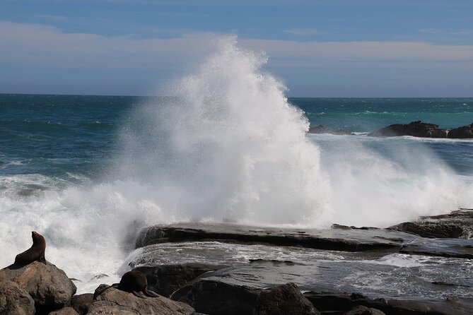 Scenic South Wairarapa Full Day Tour from Wellington - A private road trip from Wellington to South Wairarapa