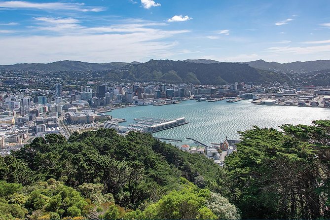Scenic Wellington Helicopter Flight - How personal is a six-person flight?