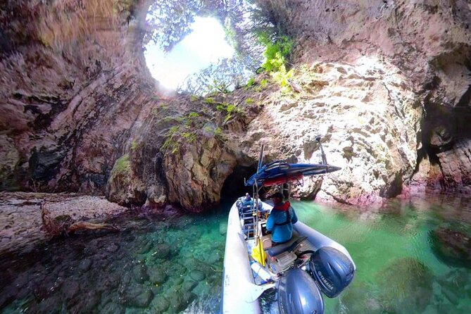 Sea Cave Adventures in the Coromandel - Key points to know before you book