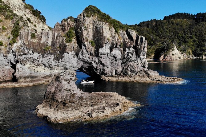 Sea Cave Adventures in the Coromandel - What the guide adds to the ride