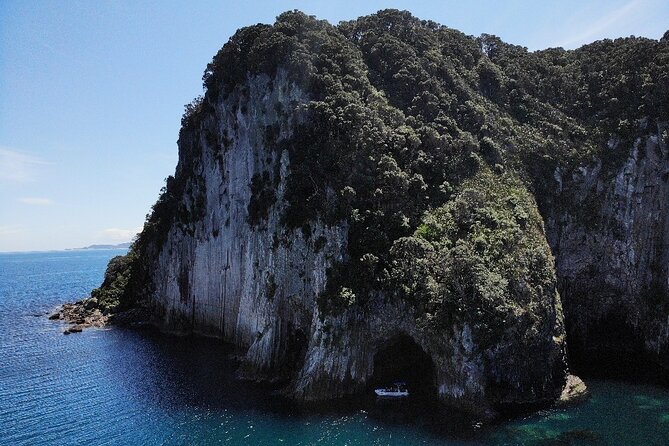 Sea Cave Adventures in the Coromandel - How the 2 to 3 hour timing affects your day