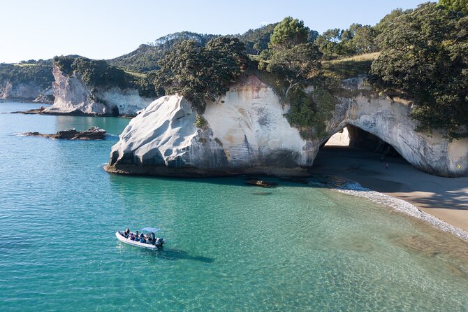 Sea Cave Adventures in the Coromandel - Who will enjoy this most?