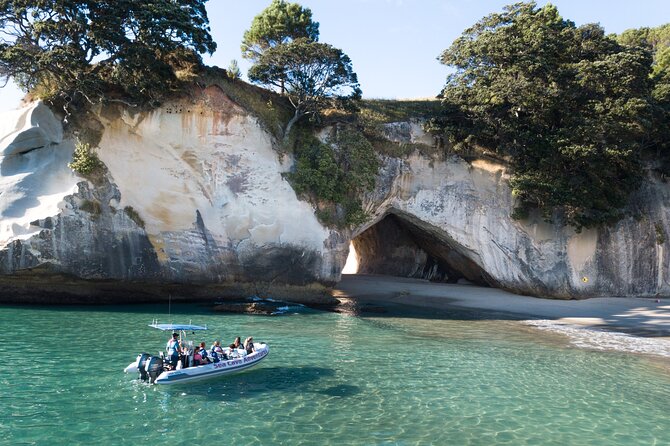 Sea Cave Adventures in Whitianga - What makes this Whitianga boat trip special