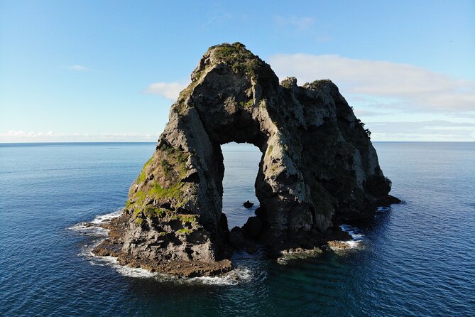 Sea Cave Adventures in Whitianga - Wildlife, fish, and seasonal sightings