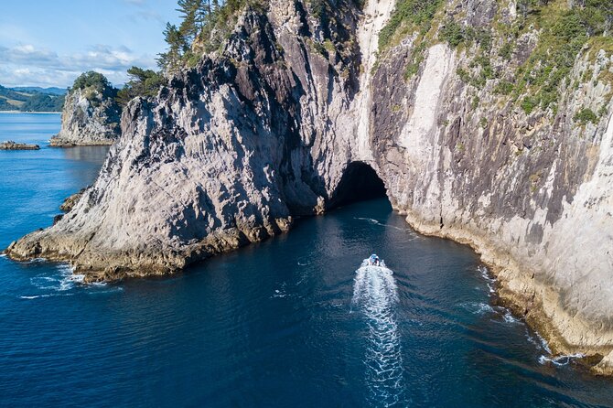 Sea Cave Adventures in Whitianga - The guides shape the whole experience