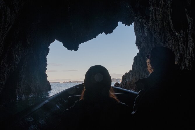 Sea Cave Adventures in Whitianga - Is the $87 price good value?