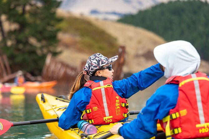 Sea Kayaking Christchurch, Lyttelton Harbour & Quail Island - Lunch, tea, and time to choose your pace