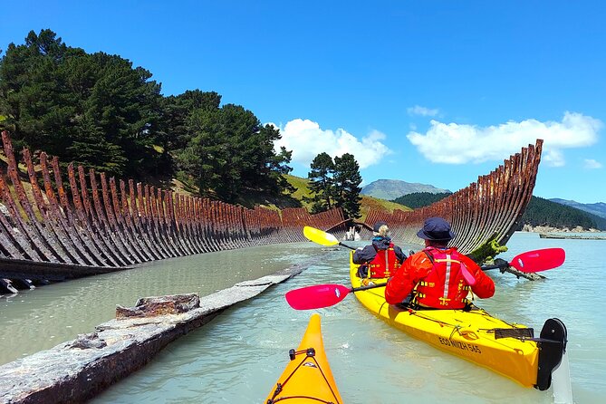 Sea Kayaking Christchurch, Lyttelton Harbour & Quail Island - What the small group changes