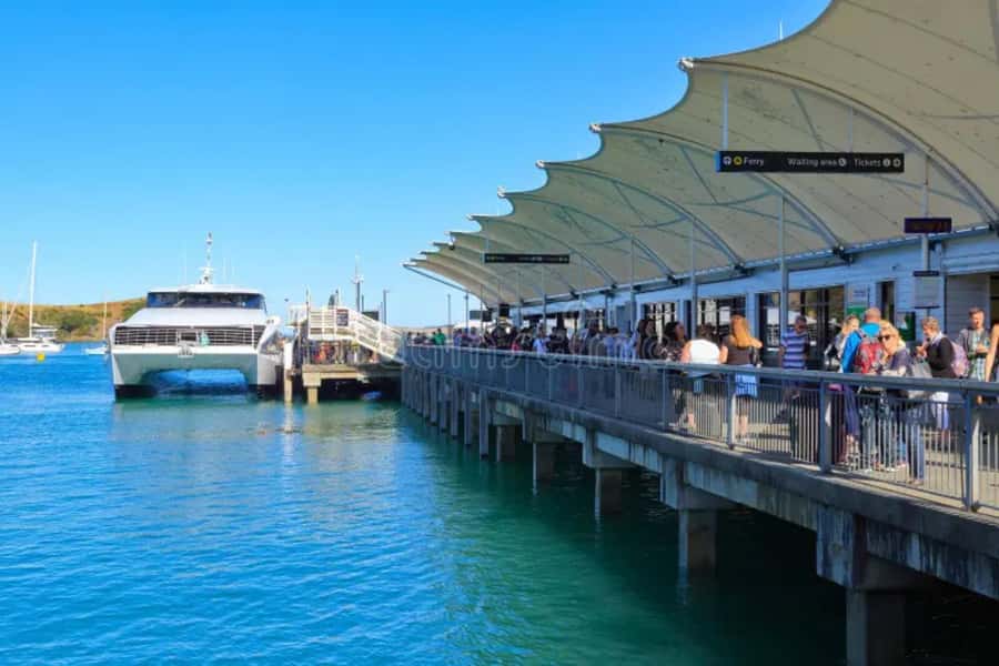 Sea, Land & Sky Premium Package - Riding the Explorer bus around Waiheke