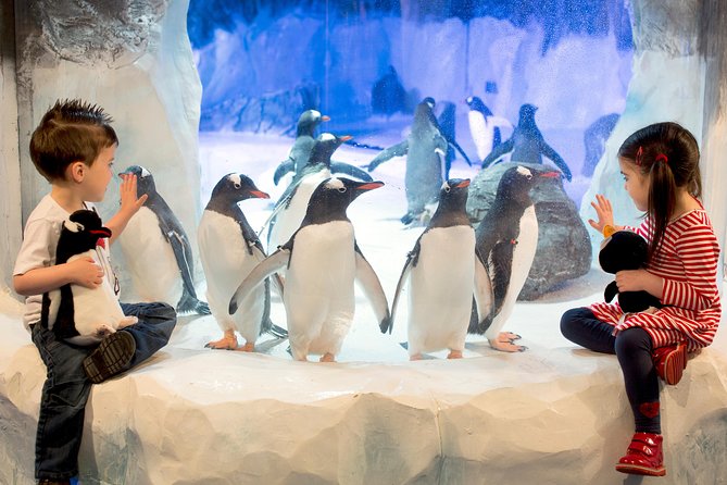 SEA LIFE Kelly Tarlton's General Admission - Key points to know before you go