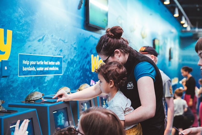 SEA LIFE Kelly Tarlton's General Admission - A practical route for families