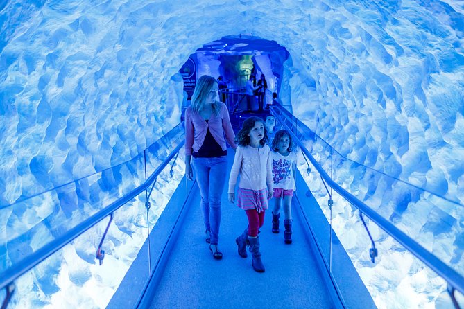 SEA LIFE Kelly Tarlton's General Admission - Getting there from central Auckland