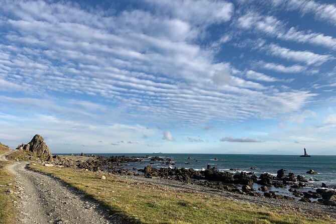 Seal Coast Safari - Exclusive access to Wellington's secret coast - Why the guides make a difference