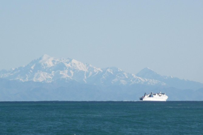 Seal Coast Safari - Exclusive access to Wellington's secret coast - Who should book this safari?
