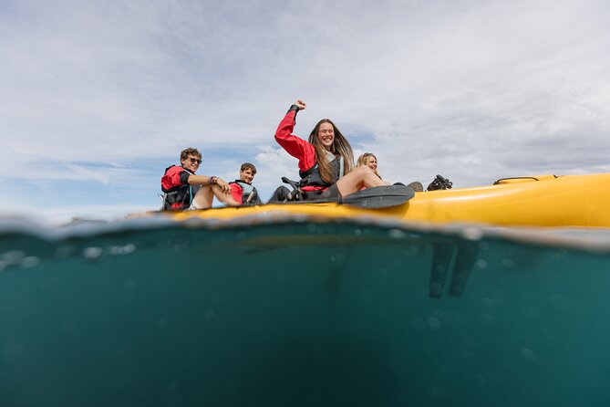 Seal Kayaking Adventure in Kaikoura - What the Guide Adds