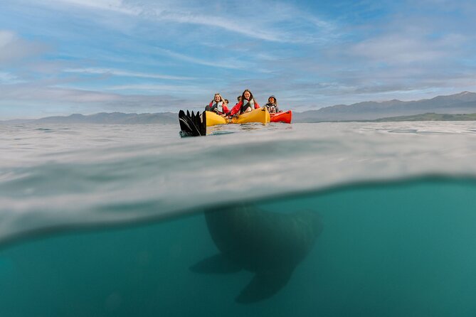Seal Kayaking Adventure in Kaikoura - Choosing Between Seal Spotting and Sunset