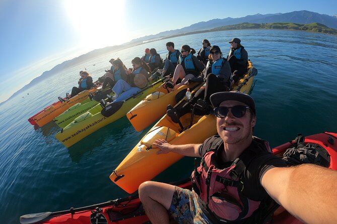 Seal Kayaking Adventure in Kaikoura - Weather and Cancellation Details to Know