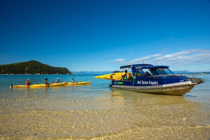 Seal Sanctuary Tour - Guided Kayaking - New Zealand - What the wildlife experience is really like