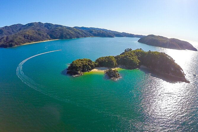 Seal Sanctuary Tour - Guided Kayaking - New Zealand - A beach lunch with a weather-related catch