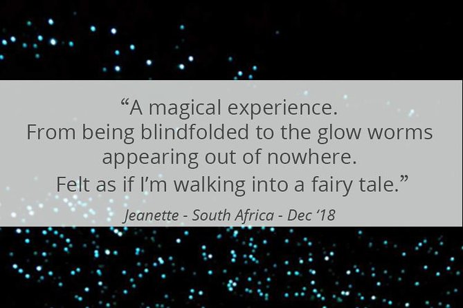 See Auckland's Secret Glow Worms - Reaching the glowworm dell