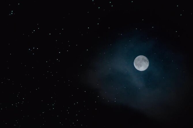 See Auckland's Secret Glow Worms - What you may learn about glowworms