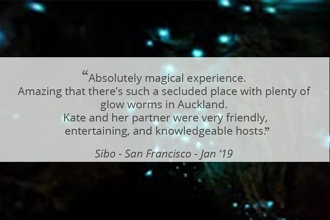 See Auckland's Secret Glow Worms - How private touring affects the experience