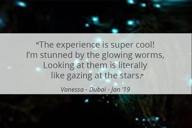 See Auckland's Secret Glow Worms - Timing your evening in Auckland