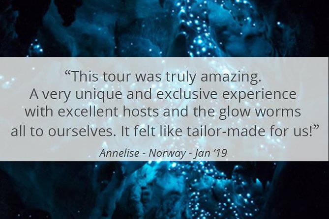 See Auckland's Secret Glow Worms - The 25-minute ride from Auckland
