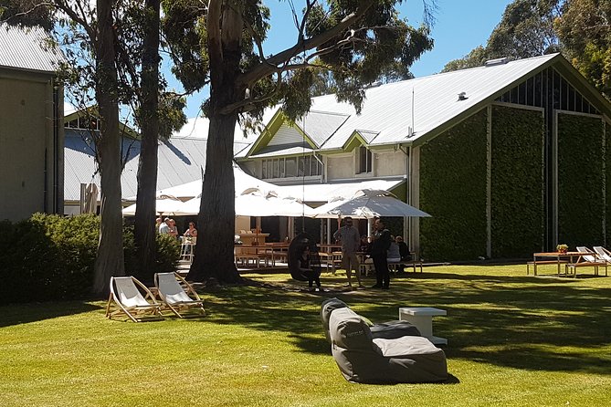Self-Guided Biking Wine Tour (full day) in the Marlborough Region. - Choosing between standard bikes and e-bikes
