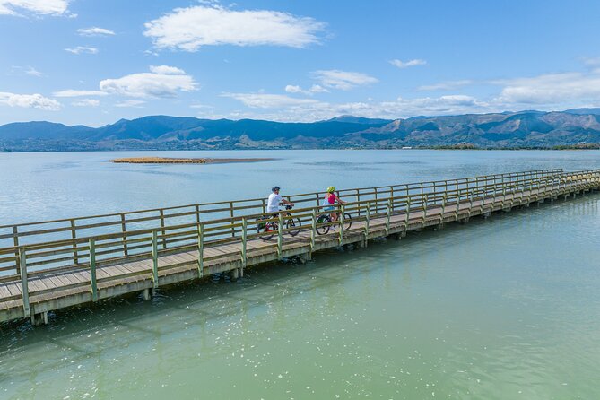 Self-guided E-bike cycle tour with private wine tasting - Who should book this outing?