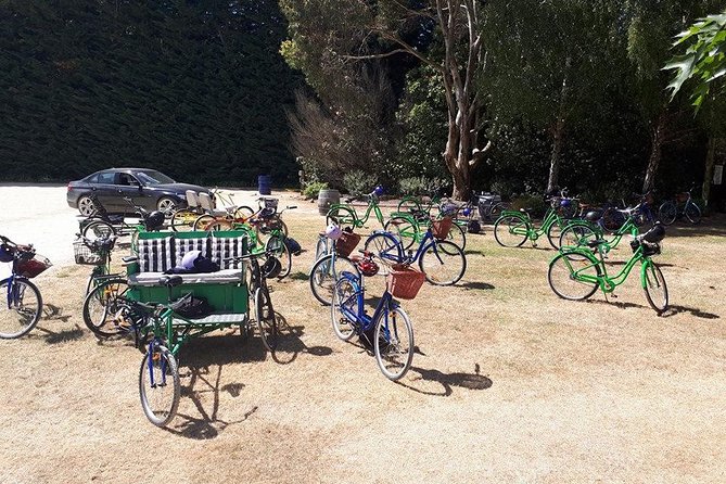 Self Guided Martinborough Wineries Bike Tour - Why Martinborough works so well by bike