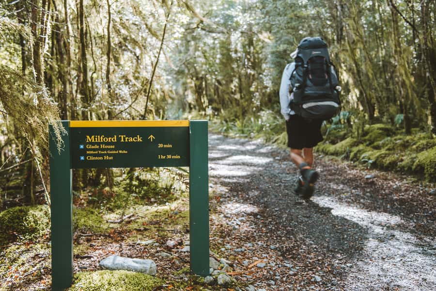 Self-Guided Milford Track Day Walk from Lake Te Anau - Key points at a glance
