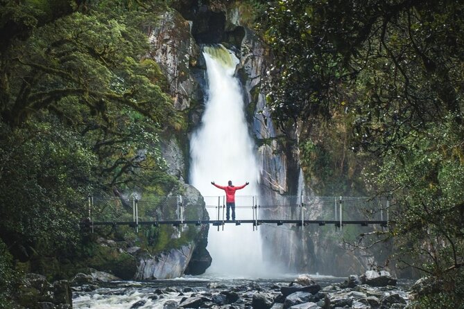 Self-Guided Milford Track Day Walk - Milford Sound - What the track feels like underfoot