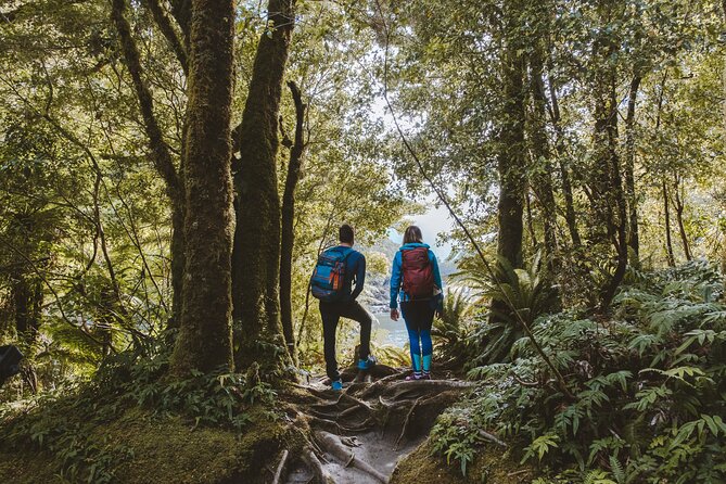Self-Guided Milford Track Day Walk - Milford Sound - What you pay for at $46.54