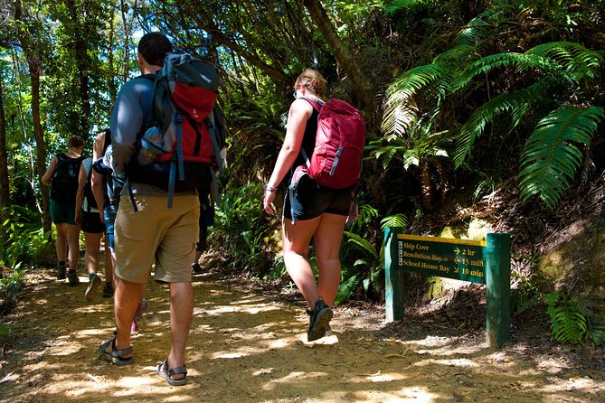 Self-Guided Queen Charlotte Track Walk from Picton - Three ways to walk the Queen Charlotte Track