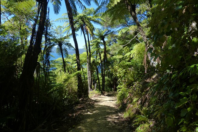 Self-Guided Queen Charlotte Track Walk from Picton - The fixed schedule is the biggest issue