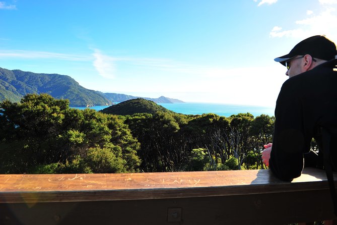 Self-Guided Queen Charlotte Track Walk from Picton - Is $59.58 good value?