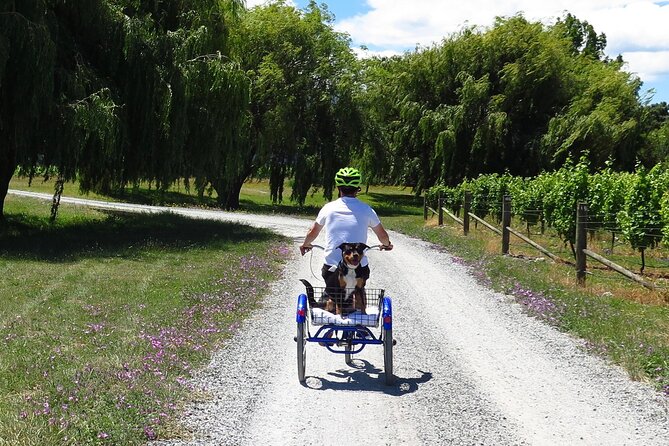 Self-Guided Wine Tours by Bike with Lorelle & Greg - Why Renwick is the right place to start