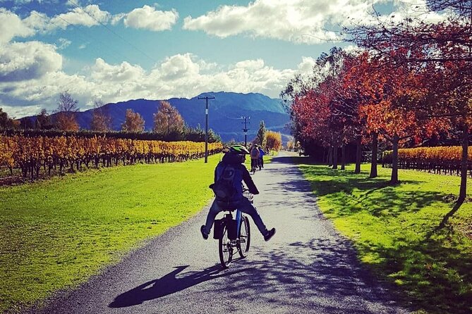 Self-Guided Wine Tours by Bike with Lorelle & Greg - The bicycles are built for cruising