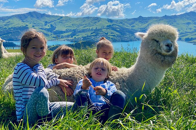 Shamarra Alpaca Farm Tours - Why the scenery adds real value