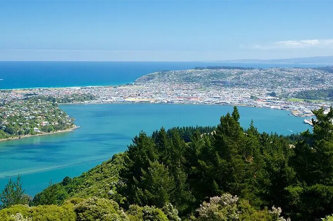 Shared Small Group Dunedin City and Peninsula Scenery Day Tour - The University of Otago and the Railway Station