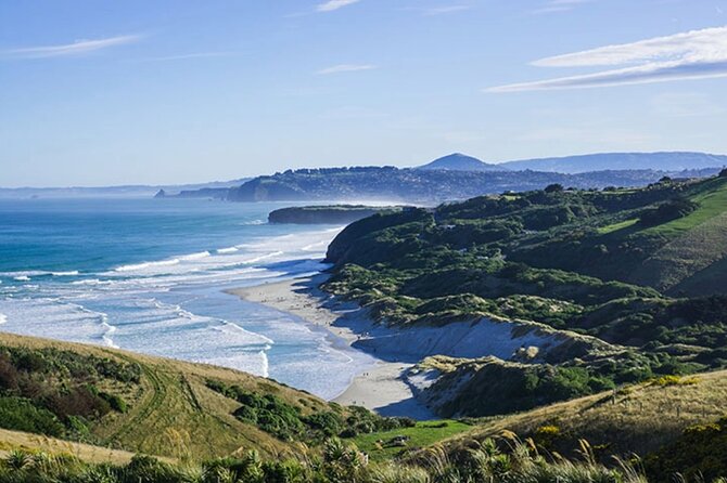Shared Small Group Dunedin City and Peninsula Scenery Day Tour - Lawyers Head and the Sir Leonard Wright Lookout