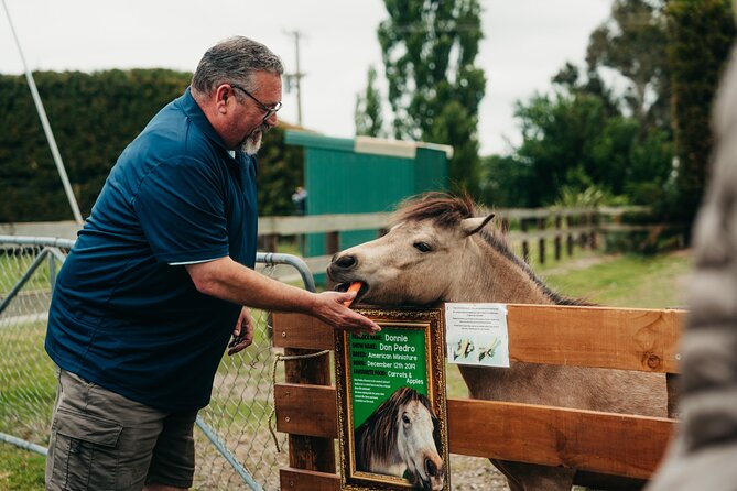 Sheep Farm Day Trip from Christchurch + Lunch and Winery visit. - How the guide shapes the day
