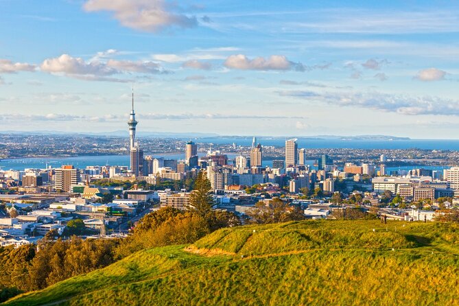 Sheep Shearing and Auckland City Highlights Tour with Lunch - Achilles Point and the Hauraki Gulf