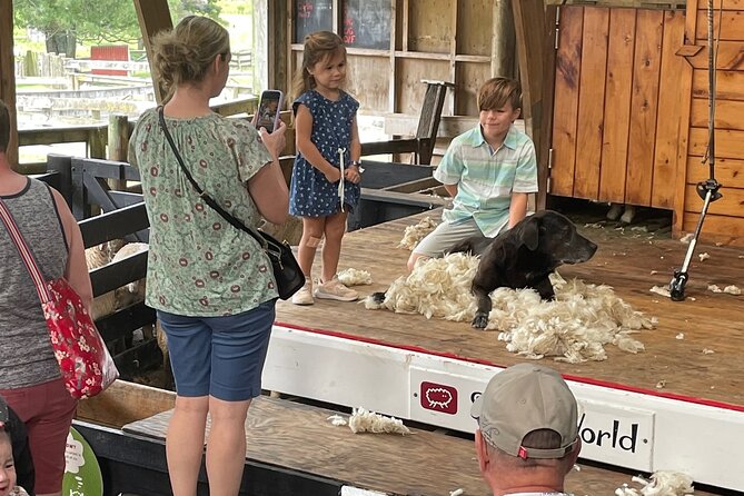 Sheep World Country Tour from Auckland - What the $175.04 Price Really Covers